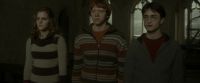 EdP-Potterish5196.jpg
