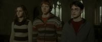 EdP-Potterish5215.jpg
