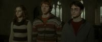 EdP-Potterish5218.jpg