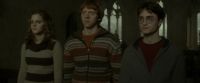 EdP-Potterish5219.jpg
