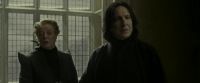 EdP-Potterish5224.jpg