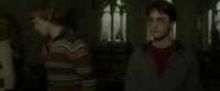 EdP-Potterish5228.jpg