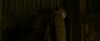 EdP-Potterish5544.jpg