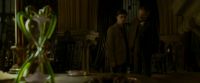 EdP-Potterish5579.jpg