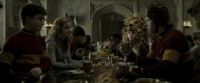 EdP-Potterish5865.jpg