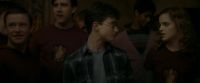EdP-Potterish6052.jpg