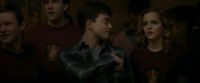 EdP-Potterish6068.jpg
