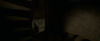EdP-Potterish6122.jpg