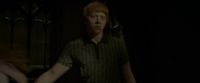 EdP-Potterish6230.jpg