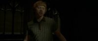EdP-Potterish6231.jpg