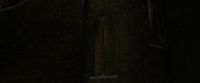 EdP-Potterish6302.jpg
