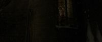EdP-Potterish6306.jpg