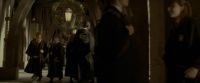 EdP-Potterish6349.jpg