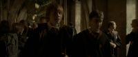 EdP-Potterish6372.jpg