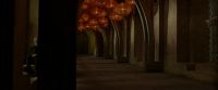 EdP-Potterish6509.jpg