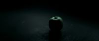 EdP-Potterish6544.jpg