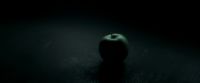 EdP-Potterish6545.jpg