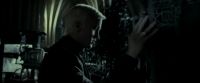 EdP-Potterish6591.jpg