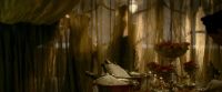EdP-Potterish6710.jpg