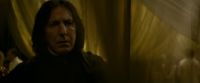 EdP-Potterish6729.jpg