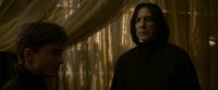 EdP-Potterish6763.jpg