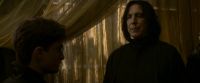 EdP-Potterish6772.jpg