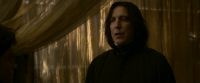 EdP-Potterish6783.jpg
