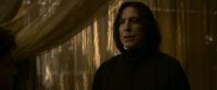 EdP-Potterish6784.jpg