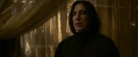 EdP-Potterish6788.jpg
