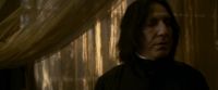EdP-Potterish6805.jpg