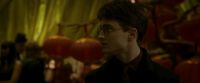 EdP-Potterish6808.jpg