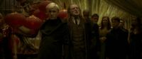 EdP-Potterish6825.jpg