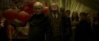 EdP-Potterish6828.jpg