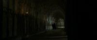 EdP-Potterish6887.jpg