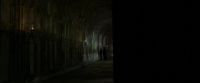 EdP-Potterish6900.jpg