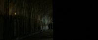 EdP-Potterish6901.jpg