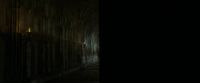 EdP-Potterish6903.jpg
