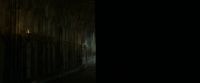EdP-Potterish6904.jpg