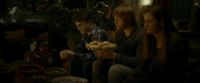 EdP-Potterish7195.jpg