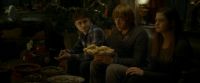 EdP-Potterish7199.jpg