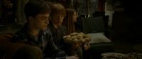 EdP-Potterish7205.jpg