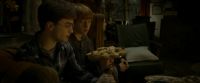 EdP-Potterish7207.jpg