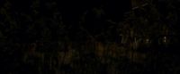 EdP-Potterish7229.jpg