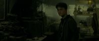 EdP-Potterish7284.jpg