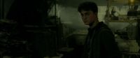 EdP-Potterish7323.jpg