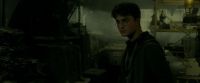 EdP-Potterish7326.jpg