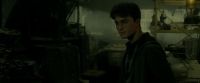 EdP-Potterish7333.jpg