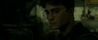 EdP-Potterish7353.jpg