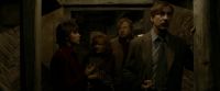 EdP-Potterish7370.jpg