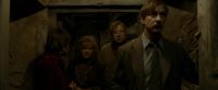 EdP-Potterish7374.jpg